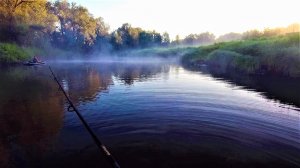 РЫБАЛКА С НОЧЕВКОЙ два дня искали щуку, она ловилась утром