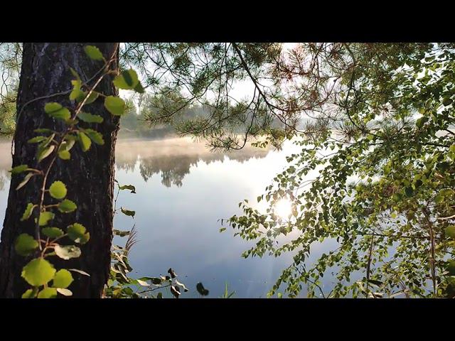 26 августа 2021 г. смотреть онлайн