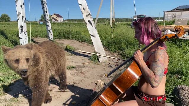Певица Даша Ловать и медведь Василий