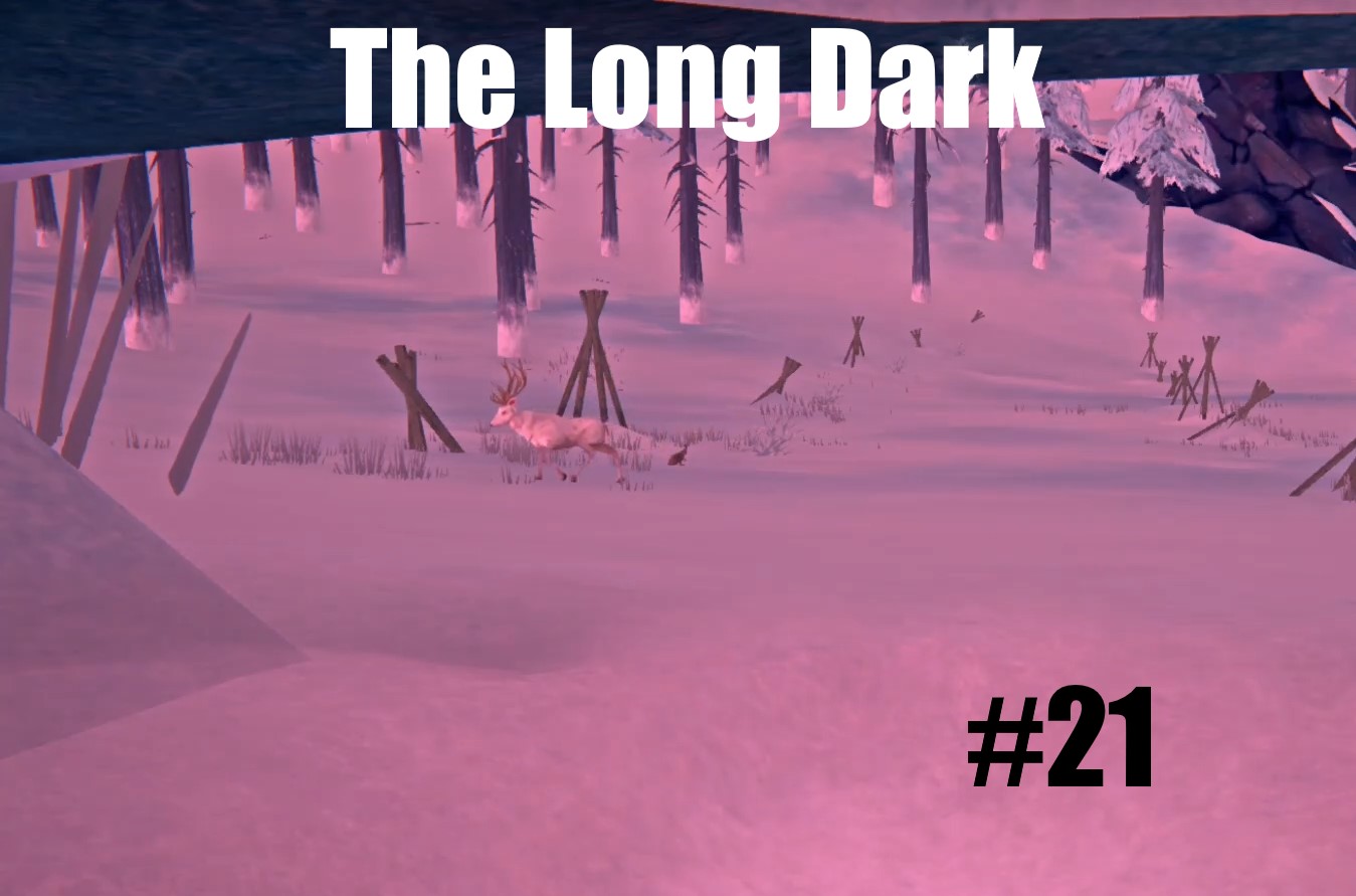 The Long Dark #21
