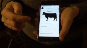 Честный обзор электрического гриля Weber Pulse 2000