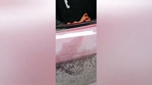 замена заднего стекла джили мк кросс