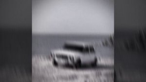 Девятка цвета барбариса