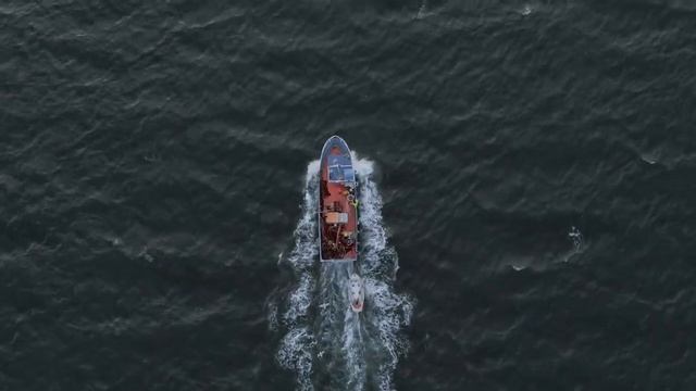 От каких болезней помогают Тыквенное Семечки? И что будет если есть семечки каждый день? смотреть онлайн