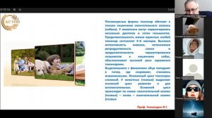 аскаридоз, токсокароз 2