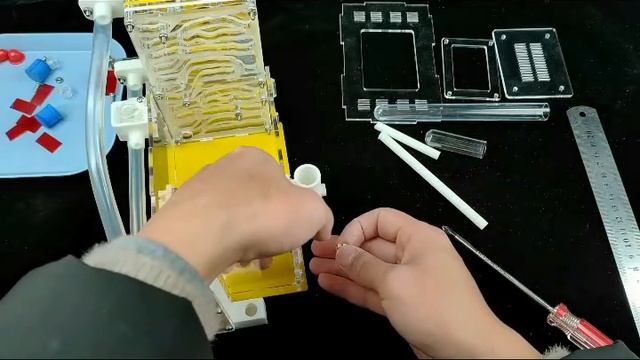 B1 Установочное видео，английский язык