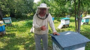 Пчеловодство № 109 Когда начинать качать мед, и снимать корпуса?!