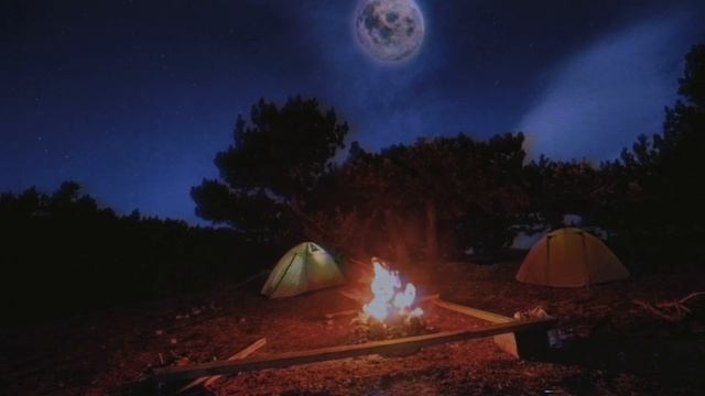 Добрый оборотень в лесу. Мне очень повезло!  история про оборотня
