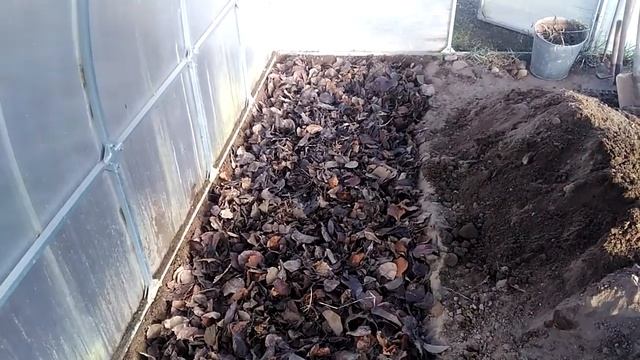 Тёплая грядка в теплице