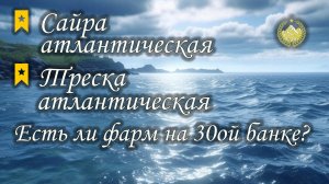 ✮ Норвежское море ✮ Сайра атлантическая ✮ Треска атлантическая ✮