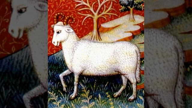 Aries And Sagittarius Compatibility