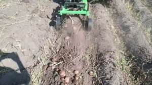 Кентавр Т -18, картофелекопалка КТ3, начало сезона копки картошки 2022