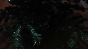 Влог/ Подготовка к Новому году 2021 год