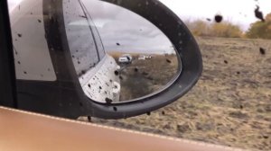 Покатушки на Паркетниках Prado и Нива не смогли