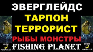 Fishing Planet - Тарпон террорист на Эверглейдсе