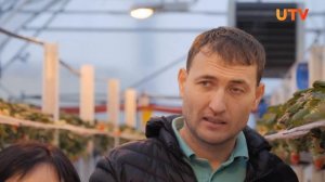 Как и где растёт клубника зимой?