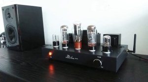 Oldchen el34b Yamaha nx-e800