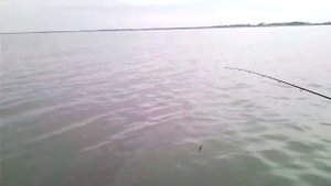 Ловля окуня на Маныче в сентябре