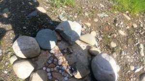 Едем на рыбалку, после долгово ожидания конца запрета.