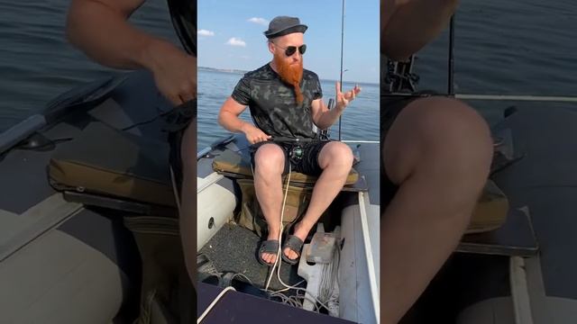 Анекдот про грузина и золотую рыбку смотреть онлайн