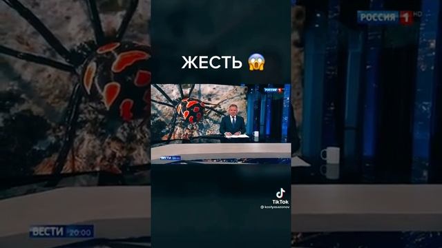 Каракурт самый опасный паук вмире