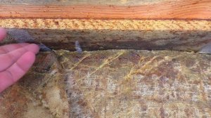 Наглядный пример когда у пчёл нет корма. Куда смотреть и как понять что пора кормить пчел зимой?