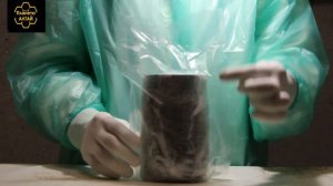 Мед Липовый дальневосточный. Чем полезен Липовый мёд ? Где купить настоящий Липовый мед?