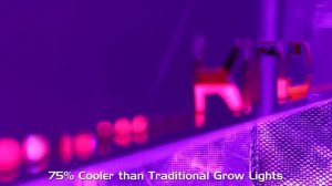 Hydroponics| LED Grow Lights | Indoor Garden Grow Light Tutorial