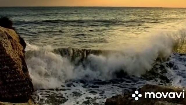 ПРОГРАММА АНТИСТРЕСС смотреть онлайн