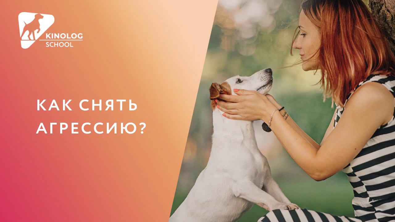 Как снять агрессию?