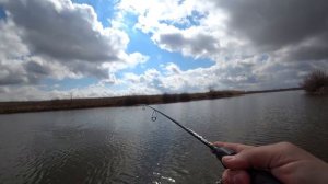 РЫБАЛКА В ВОЛГОАХТУБИНСКОЙ ПОЙМЕ ВЕСНОЙ