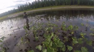 Рыбалка на тайменя 2018г.