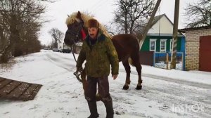 РАЗГРУЗКА ЖЕРЕБЦА/ ПРИВЕЗЛИ ДОМОЙ