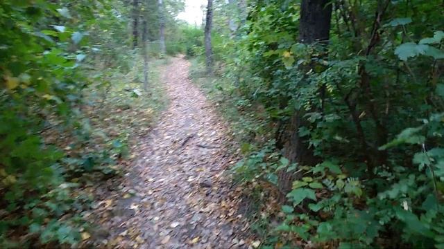 0666 город Орёл, Дворянское Гнездо, улица Новикова, Тургенева, гаражи, сказка для мужского движения смотреть онлайн