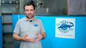 7 ГЛАВНЫХ этапов при СТРОИТЕЛЬСТВЕ ФЕРМЫ УЗВ | Бизнес идеи | Куда вложить деньги