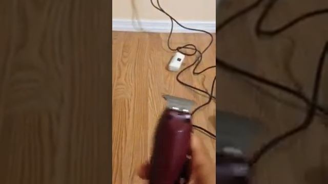 Andis t outliner vs wahl detailer смотреть онлайн