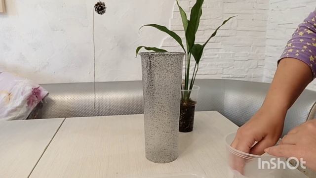 Посадка Спатифилума на фитильный полив