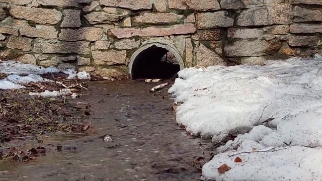 DJ. г.Челябинск. Парк «Металлург» имени О И Тищенко 07. 04. 2021г. смотреть онлайн