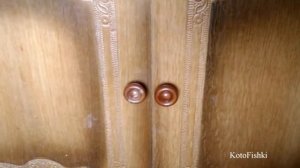 Кот открывает шкаф лапой :) | The cat climbs into the wardrobe