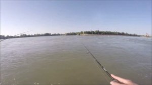 рыбалка на кубани в черте города Краснодар с берега. тлюстэнхабл