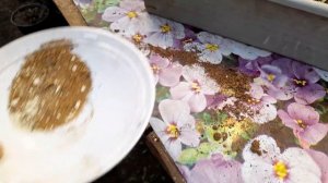 СПАСАТЕЛЬ РАССАДЫ от чёрной ножки,мошек.