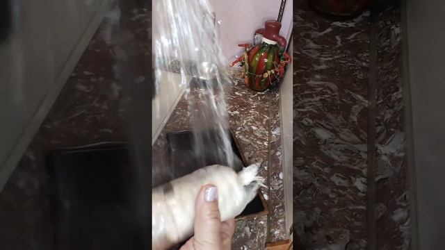 как сэкономить 400 руб на колбасе смотреть онлайн