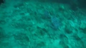 Андаманское море