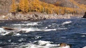 ротан 660 панфиловский порог