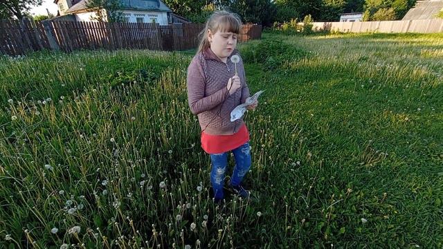 ПРИЕХАЛИ НА ДАЧУ И НАШЛИ КЛАД,КОТОРЫЙ ВСКОРЕ ПРИНЁС НАМ НЕПРИЯТНОСТИ смотреть онлайн