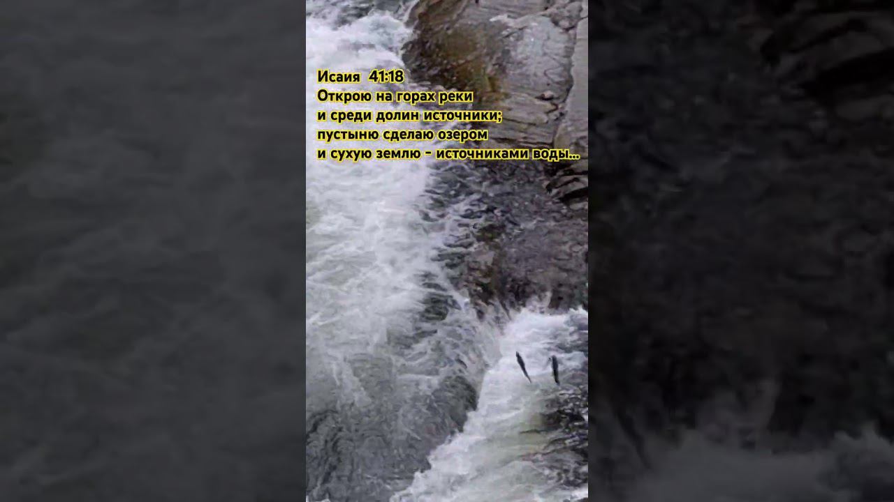 Горная река