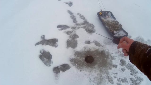 Ловля окуня . Анимация зимней блесны смотреть онлайн