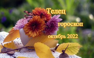 Телец! Гороскоп на октябрь 2022 года!