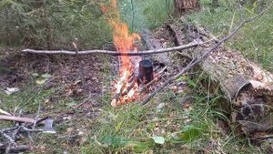 открытие по боровой 2024