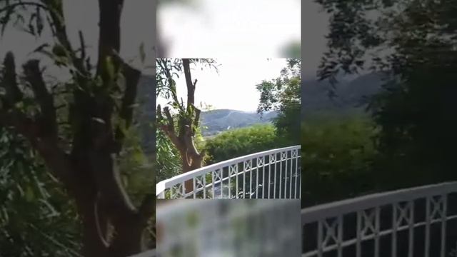 Дом на Кипре в Лимассоле. 7 комнат смотреть онлайн